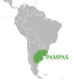 Pampas ---- South America