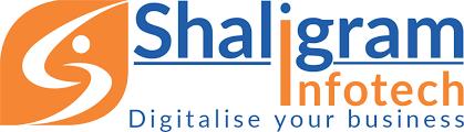 Shaligram Infotech Abhign Yagnik WayToWeb Pvt Ltd