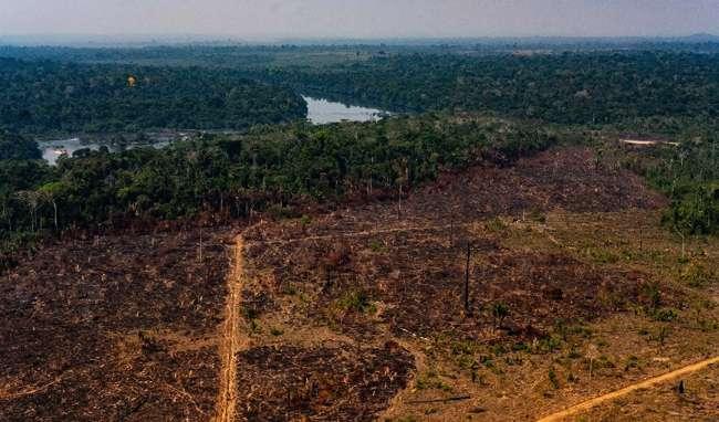 The Brazilian government said that the Amazon rainforest witnessed deforestation of a record 829 sq km in May, the highest monthly level since 2015.