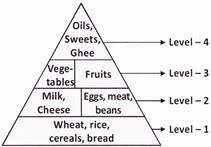 Topic 2: Components of Food Science Let us recapitulate.. Q.1 Identify the component of food represented in the given food pyramid by level 1, 2, 3, and 4. Q.2 Which vitamin deficiency causes the disease Beriberi?