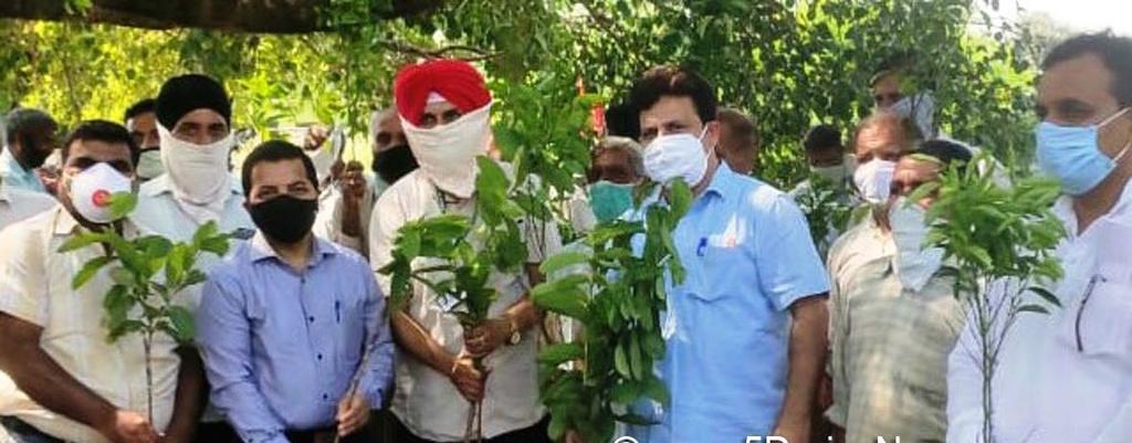 6.J&K Horticulture Dept launched : Backyard Horticulture programme ज और क र ब गव न वभ ग : "ब कय ड ब गव न " क य क रम श कय Purpose: main aim to