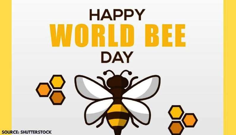 World Bee Day 2020 is observed across the globe on 20 May every year. The World Bee Day celebration is done in order to raise awareness amongst the people about the importance of bees in the universe.