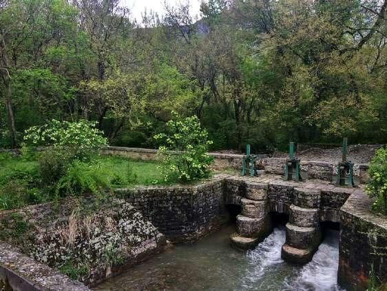 Important National Park and Wildlife Sanctuaries in Jammu and Kashmir City Forest