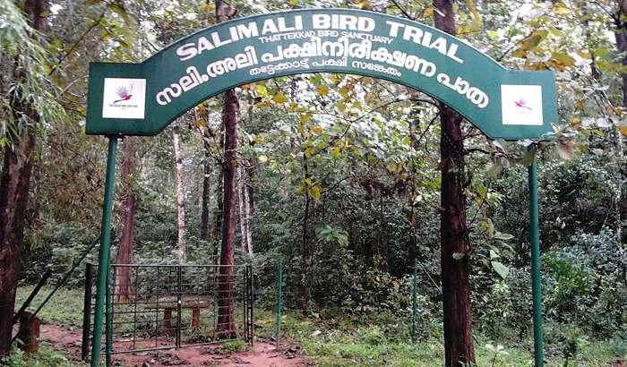 Important National Park and Wildlife Sanctuaries in Goa Bondla wildlife sanctuaries Modem National