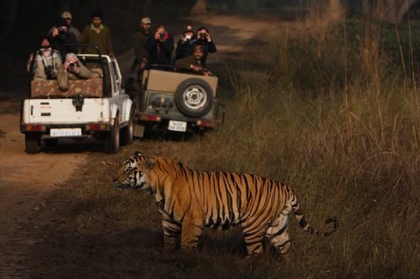 7.Recently, which of the following state has started night safari in national parks?