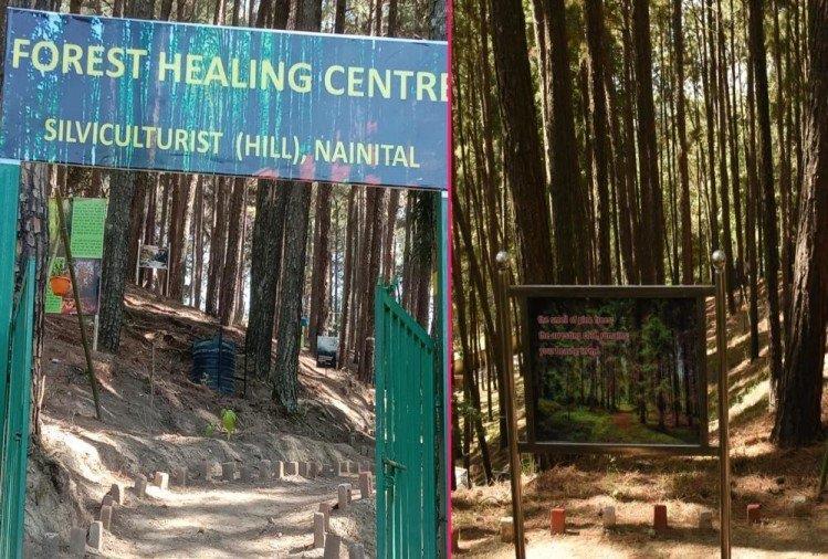 11.In which state has India's first forest medicine center opened? भ रत पहल न श चचश च त स द र श च स र ज म ख ल गय ह?
