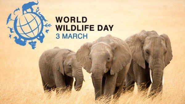World Hearing Day is observed on 3 March"D