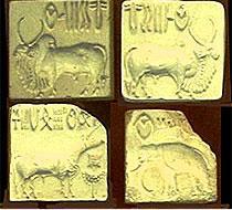 Domestic (घर ल ): Oxen (ब ल ) Buffalos (भ ) Humbled Bull (ह बल ब ल ) Favoured Animal Goats (बकर ) Sheep Stone age 1 st Domestic (भ ड - प ष ण य ग क उम र 1 घर ल ) Dogs Pet (क त त प