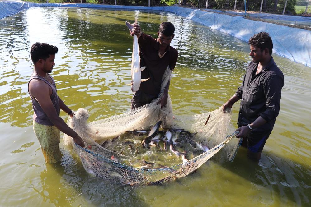 News Highlights Tamil Nadu government's Department of Fisheries will establish an integrated fisheries college-cum-research centre at Tuticorin to provide scientific training to