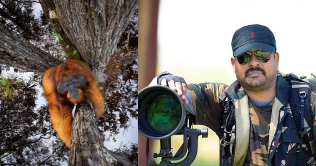 Nature TTL Photography Awards 2021 -Thomas Vijayan र र ट ट ए फ ट ग र फ अव चस 2021 -थ मस नवजय Awards for his photo of an Orangutan clinging to a tree.