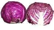 Red cabbage (र ड क ब ज)