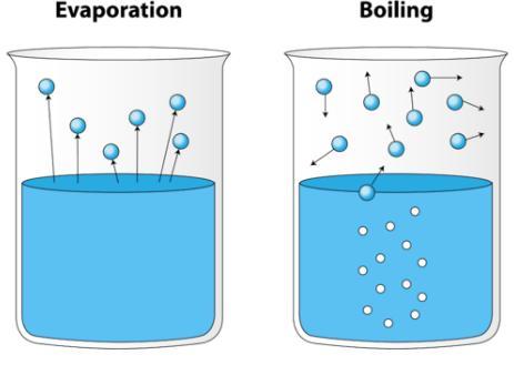 The melting point of a solid is an indication of the strength of the force of attraction between its particles. The melting point of ice is 273.16 K, i.e. 0 0 C. The melting point of wax is 63 0 C.