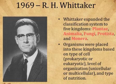 Whittaker(व हहट कर) proposed five kingdom classification : 1.
