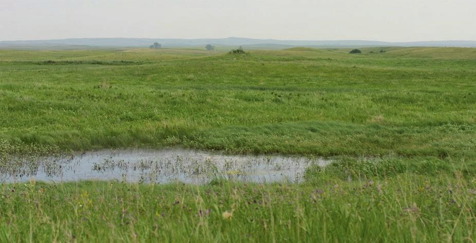 6 Wetland and Hydric Soils MSW function as a long-term C sequestration or storage site (Euliss et al. 2006; Wickland et al. 2014).