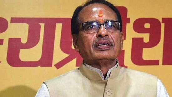 The Madhya Pradesh government has decided to set up a Gau Cabinet for the protection, conservation and promotion of cows in the state.