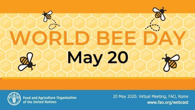 9.World Bee Day : 20 May जवश व म मक ख जदवस : 20 मई The World Bee Day is celebrated every year on May 20 to acknowledge the role of bees and other pollinators for the ecosystem.