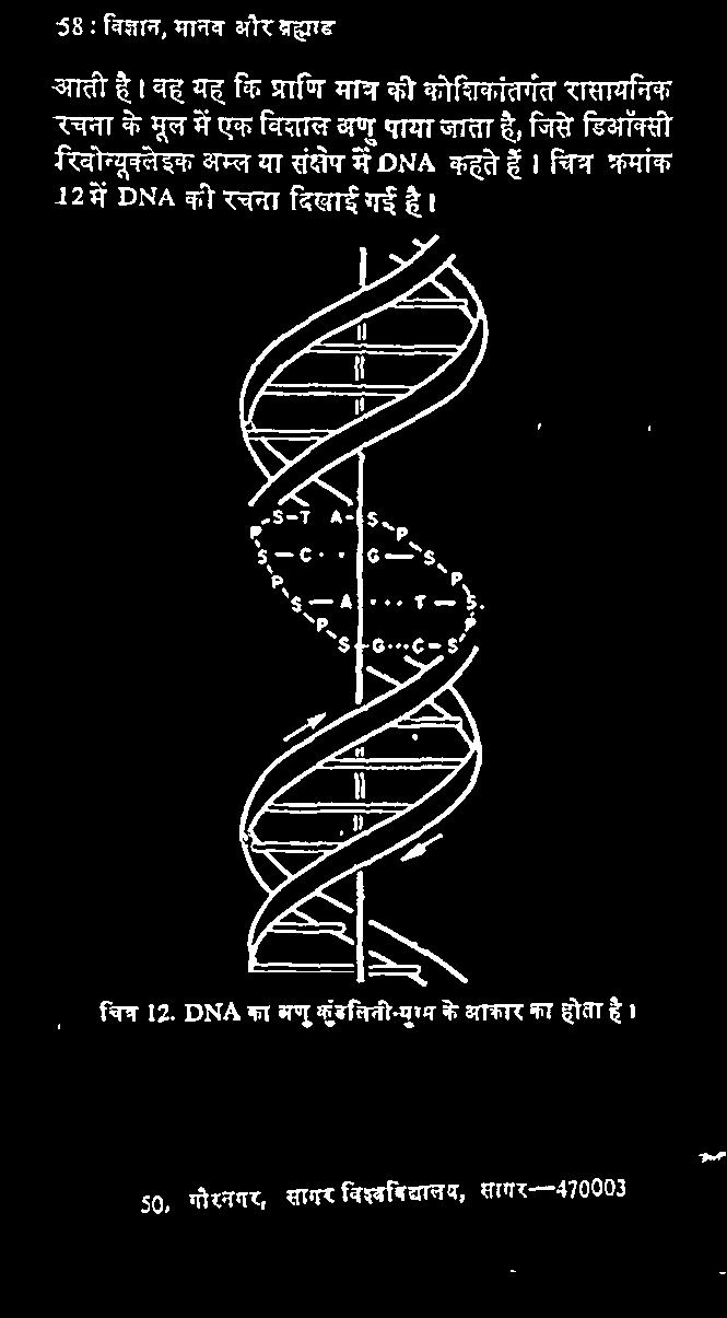 क ष प म DNA कहत ह च त र क रम क 12 म DNA क रचन द ख ई गई ह १-० - च त र 12.