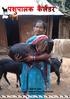 SOUTH ASIA Pro Poor Livestock Policy Programme A joint initiative of NDDB and FAO